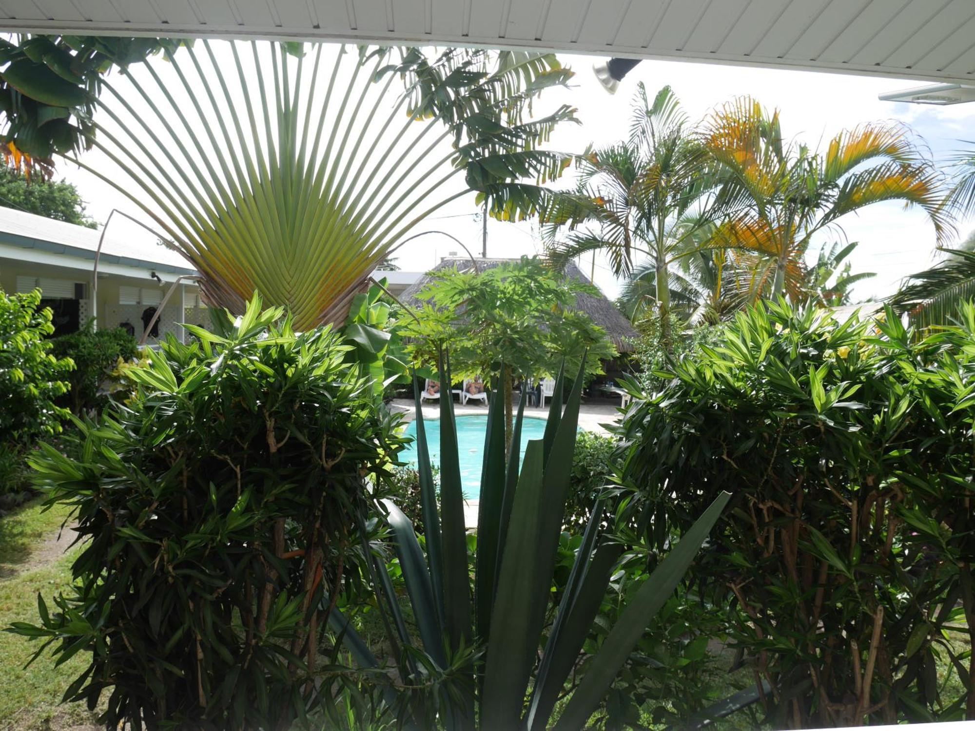 Punaauia  Pension De La Plage חדר תמונה